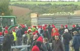 Demain ce sera bonnets rouges pour tous…