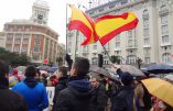 Manifestation pour la vie à Madrid