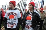 A Carhaix, les Bonnets Rouges ont réussi leur pari du jour !