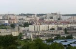 Les supporters algériens se distinguent à Besançon