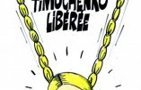 ignace_timoche