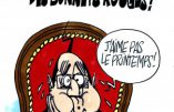 Ignace - Printemps des Bonnets rouges