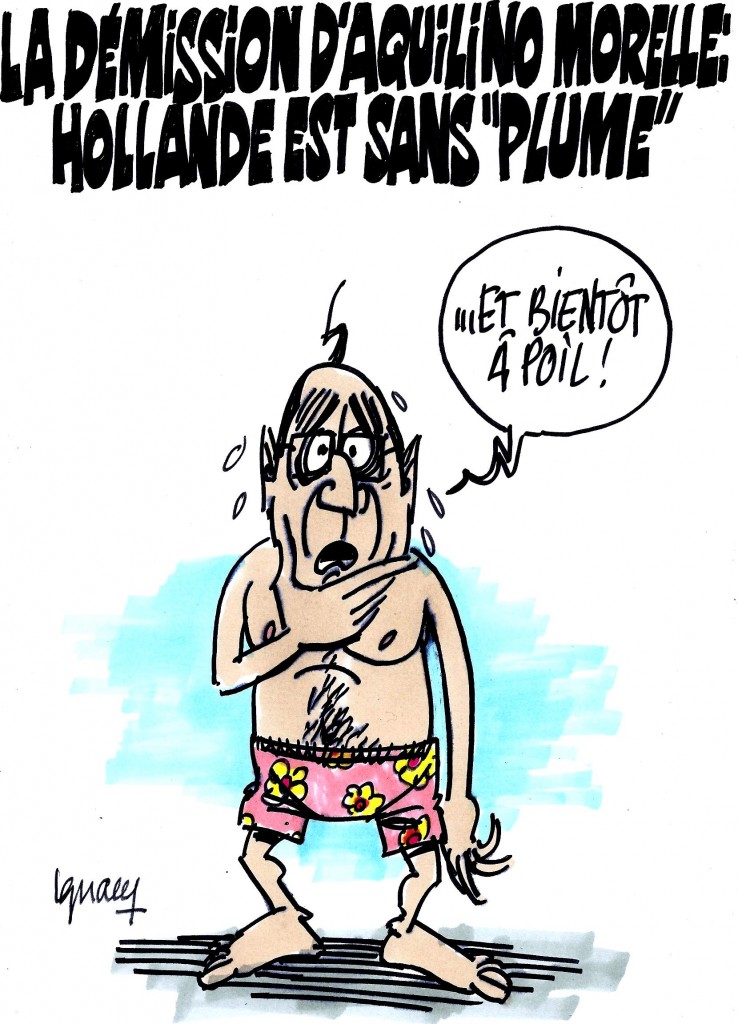 Ignace - Hollande déplumé