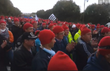 Les Bonnets Rouges organisent dix-huit pique-niques dans toute la Bretagne ce samedi