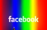 Facebook vous propose une nouvelle classification : androgyne, altersexuel,…