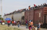 Immigration mexicaine: le train de la mort