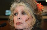 Brigitte Bardot réaffirme son soutien à Marine Le Pen