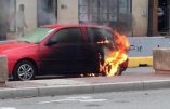 L’extrême gauche crée à nouveau des incidents à Toulouse lors de la manifestation en hommage à Rémi Fraisse