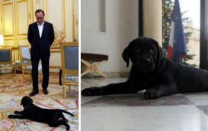 Hollande-et-son-labrador