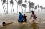 Retour sur les conséquences du typhon Hagupit aux Philippines