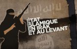 Etat islamique & coalition arabo-occidentale: Document ahurissant du Renseignement US, preuve cynique de la collusion.