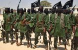 Des Shebab dans un village près de Mogadiscio, le 17 février 2011.