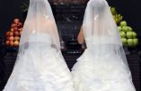 To go with AFP story "Taiwan-Asia-marriage-religion-Buddhism-society-gay,FOCUS by Peter Harmsen"
This picture taken on August 11, 2012 shows Taiwanese women Fish Huang (R) and her partner You Ya-ting praying in front of a Buddha statue during their same-sex Buddhist wedding ceremony in Taoyuan. A Buddhist clerics decision to wed two women in Taiwan is the latest sign that obstacles to same-sex unions are quietly coming down in Asia, with religion posing less of a hindrance than in the west.   AFP PHOTO / SAM YEH