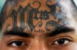 USA : Voyage au bout de l’enfer de la prison la plus atroce – Vidéo