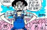 Ignace - Crise du porc : la colère monte