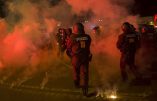 Allemagne – Le peuple manifeste sa colère contre l’ouverture de foyers pour immigrés – Vidéo à Heidenau