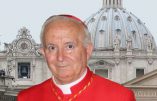 « Cette invasion d’immigrés est un cheval de Troie contre l’Europe » (cardinal Antonio Cañizares, archevêque de Valence)