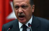 Erdogan fait basculer la Hollande à droite