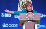 30109058. México, D.F.- La secretaria Ejecutiva de la Comisión Económica para América Latina y el Caribe CEPAL, Alicia Bárcenas, durante su discurso en la inauguración del Foro México 2013 "Políticas Públicas para un Desarrollo Incluyente".
NOTIMEX/FOTO/JOSÉ PAZOS/JPF/POL/