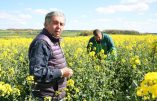Claude Bourguignon : « Garder le lien avec la terre »