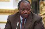 Gars mauvais au Gabon