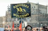 Vidéo du chaos organisé par les migrants avant les agressions sexuelles massives à Cologne le 31 décembre au soir