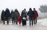 A group of migrants walk on the road near a border line between Serbia and Croatia, near the village of Berkasovo, Serbia, Monday, Oct. 19, 2015. Tension was building among thousands of migrants as they remained stranded in fog and cold weather in the Balkans on Sunday in their quest to reach a better life in Western Europe, two days after Hungary closed its border with Croatia and the flow of people was redirected to a much slower route via Slovenia. (AP Photo/Darko Vojinovic)