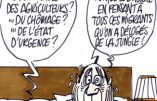 Ignace - Insomnie présidentielle