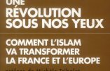 Une révolution sous nos yeux (Christopher Caldwell)