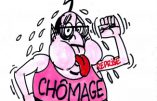 Ignace - Hollande et l'inversion du chômage