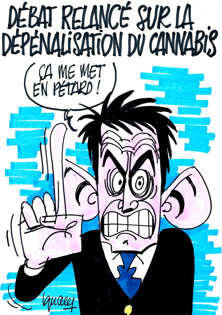Ignace – Débat sur la dépénalisation du cannabis