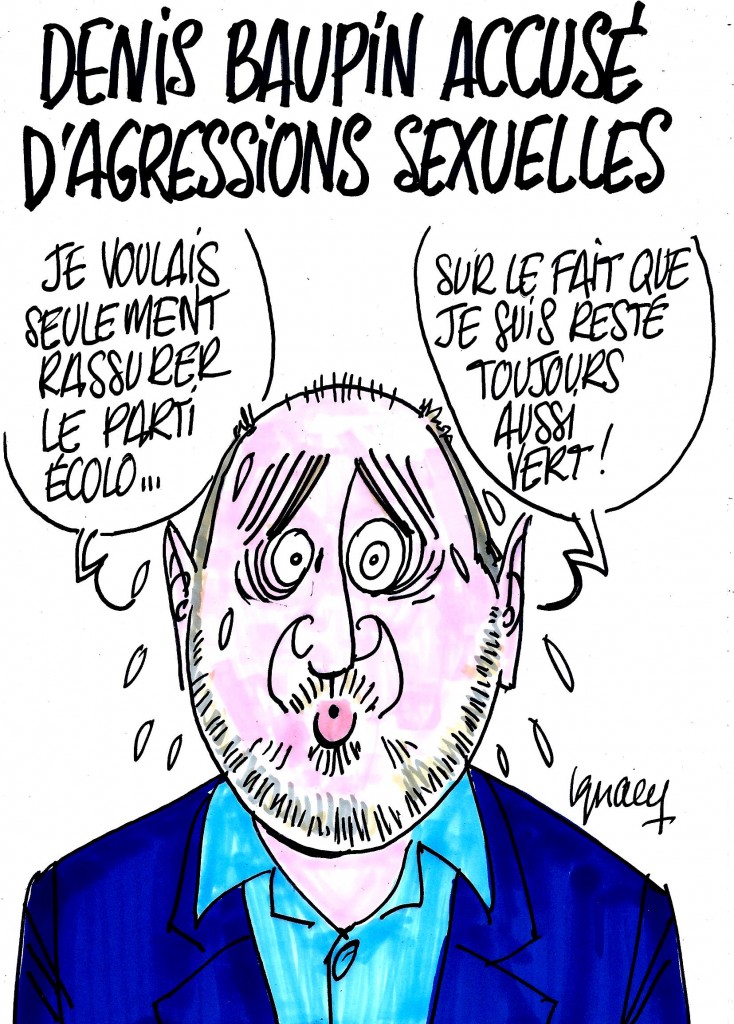 Ignace – Denis Baupin accusé d’agressions sexuelles