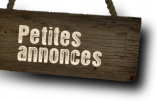 L’expansion des petites annonces sur le web