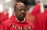 Cardinal Napier : »Demander pardon aux gays ? Que Dieu nous sauve du politiquement correct »