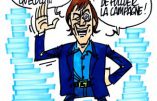 Ignace - Nicolas Hulot renonce à la presidentielle