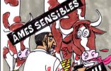 Ignace - Vidéos de rituels halal dans les abattoirs
