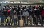 Migrants : alerte sur le sud-ouest