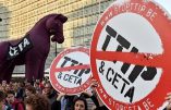 La Wallonie bloque toujours le CETA