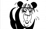 Ignace - "Stop au Hollande bashing"