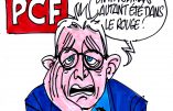 Ignace - PCF cherche candidat