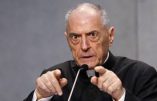 Les cardinaux auteurs des Dubia sur Amoris Laetitia pourraient perdre leur chapeau !