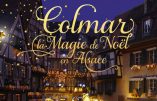 Les artisans font le succès du Marché de Noël de Colmar