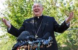 Ode à Amoris Laetitia par le cardinal préfet du dicastère pour la Famille