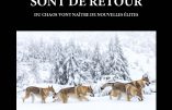 Les loups sont de retour – Du chaos vont naître de nouvelles élites (Thomas Flichy de La Neuville)