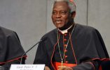 Cardinal Turkson :  « L’immigration c’est comme l’eau qui coule du robinet : il ne faut pas seulement essuyer, mais fermer le robinet »