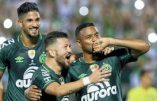 Chapecoense : renaissance d’un club