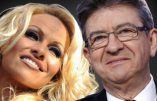 De Pamela Anderson à Noam Chomsky, les nouveaux soutiens de Jean-Luc Mélenchon