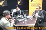 Zemmour face à Sapir: Identité et souveraineté, pourquoi l’échec des patriotes ?