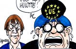 Ignace - Pesticides interdits par Hulot