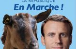 Valse d’incompétence des députés macronistes qui votent contre leur propre proposition sans rien y comprendre